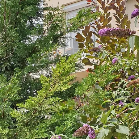 Violavilla Apartment *